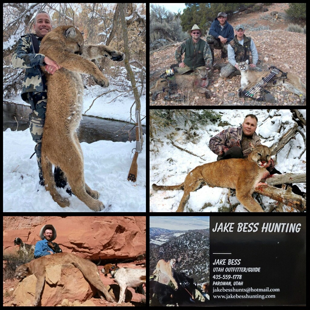 2025 Utah Mt Lion Hunts for only $5500