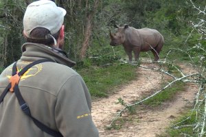 East Cape Bushveld Hunting | Build Up 2025