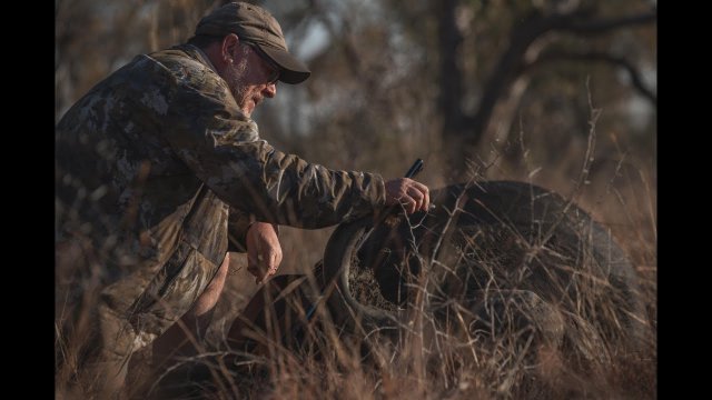 Cape Buffalo Hunting with Likhulu Safaris