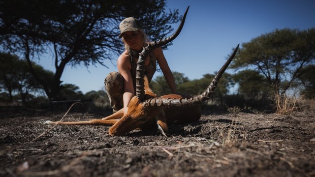 Likhulu Safaris Promo Video